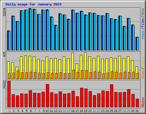 Daily usage for January 2023