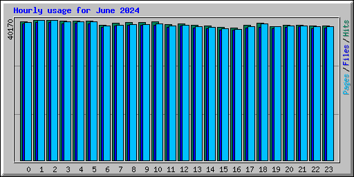 Hourly usage for June 2024