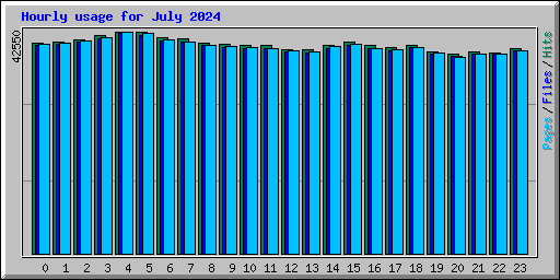 Hourly usage for July 2024