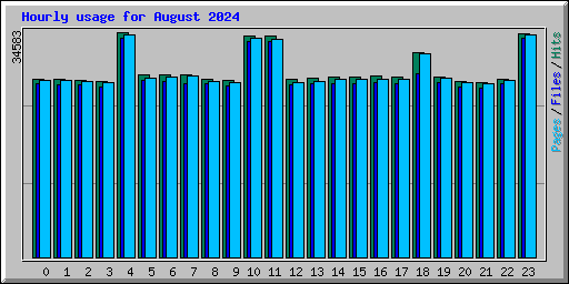 Hourly usage for August 2024