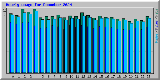 Hourly usage for December 2024