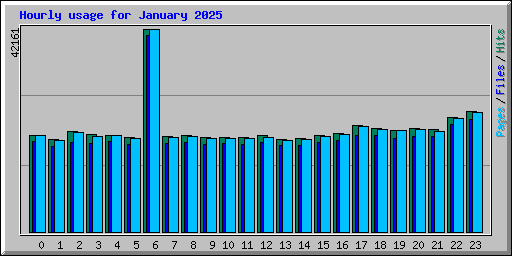 Hourly usage for January 2025
