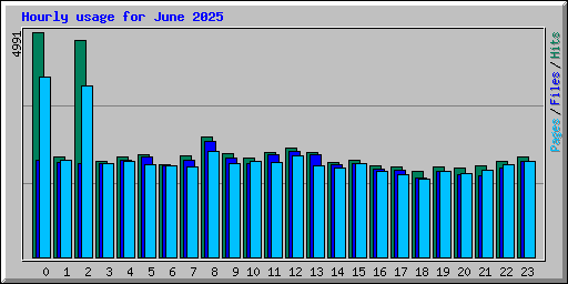 Hourly usage for June 2025