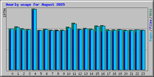Hourly usage for August 2025