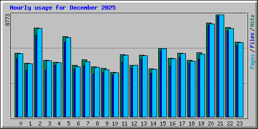 Hourly usage for December 2025