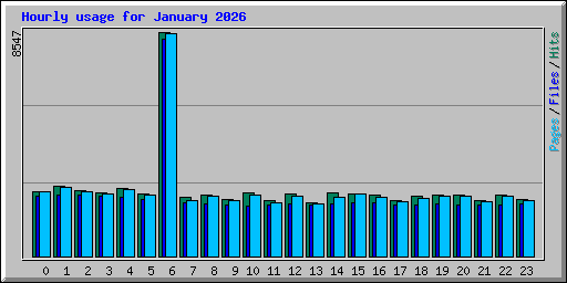 Hourly usage for January 2026