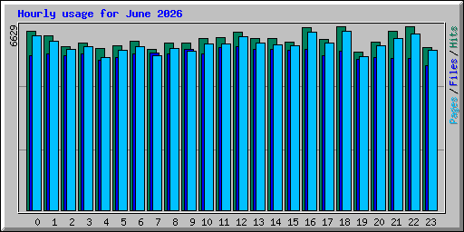Hourly usage for June 2026