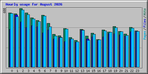 Hourly usage for August 2026